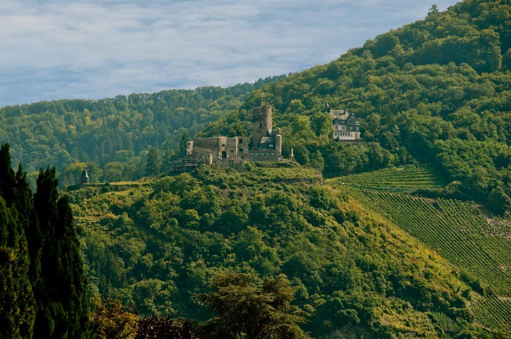 Alter Posthof Ferienwohnungen Bernkastel-Kues Bagian luar foto